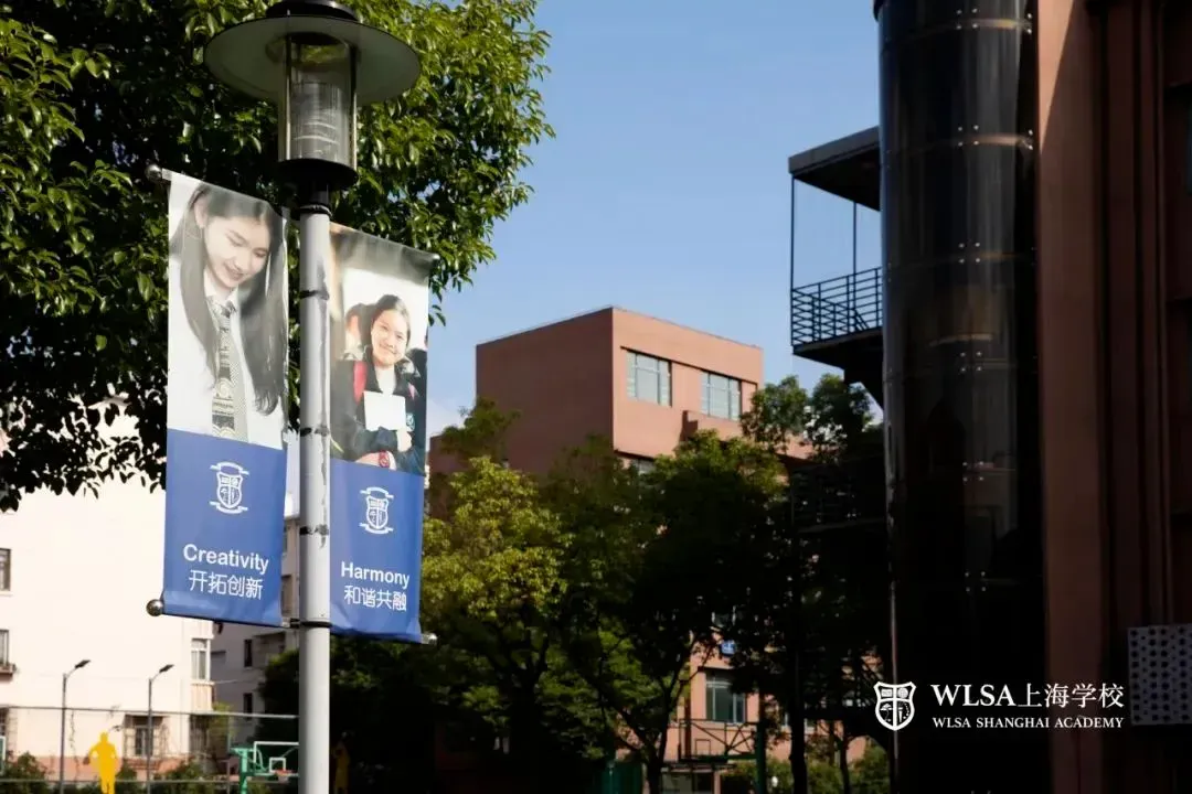 中考后转轨国际学校:WLSA需要中考成绩吗?中考录取分数线多少?考试时间?-第7张图片-四季读书网