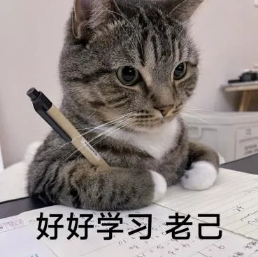 【26届上经贸大新传考研真题全解析】考点拆解+难度分析!学姐带你稳稳上岸!【27届上经贸大MJC新传专硕】-第3张图片-四季读书网