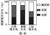 试题精选║北京市西城区2026年高三模拟测试试卷生物试题-第2张图片-四季读书网 试题精选║北京市西城区2026年高三模拟测试试卷生物试题-第2张图片-四季读书网