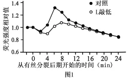 试题精选║北京市西城区2026年高三模拟测试试卷生物试题-第6张图片-四季读书网 试题精选║北京市西城区2026年高三模拟测试试卷生物试题-第6张图片-四季读书网