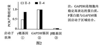 试题精选║北京市西城区2026年高三模拟测试试卷生物试题-第11张图片-四季读书网 试题精选║北京市西城区2026年高三模拟测试试卷生物试题-第11张图片-四季读书网