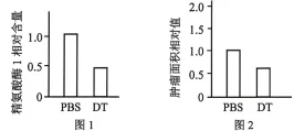 试题精选║北京市西城区2026年高三模拟测试试卷生物试题-第12张图片-四季读书网 试题精选║北京市西城区2026年高三模拟测试试卷生物试题-第12张图片-四季读书网