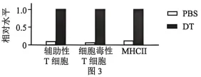 试题精选║北京市西城区2026年高三模拟测试试卷生物试题-第13张图片-四季读书网 试题精选║北京市西城区2026年高三模拟测试试卷生物试题-第13张图片-四季读书网