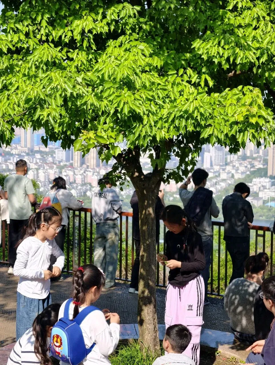六一儿童节|别让试卷,偷走孩子本该发光的童年-第4张图片-四季读书网 六一儿童节|别让试卷,偷走孩子本该发光的童年-第4张图片-四季读书网