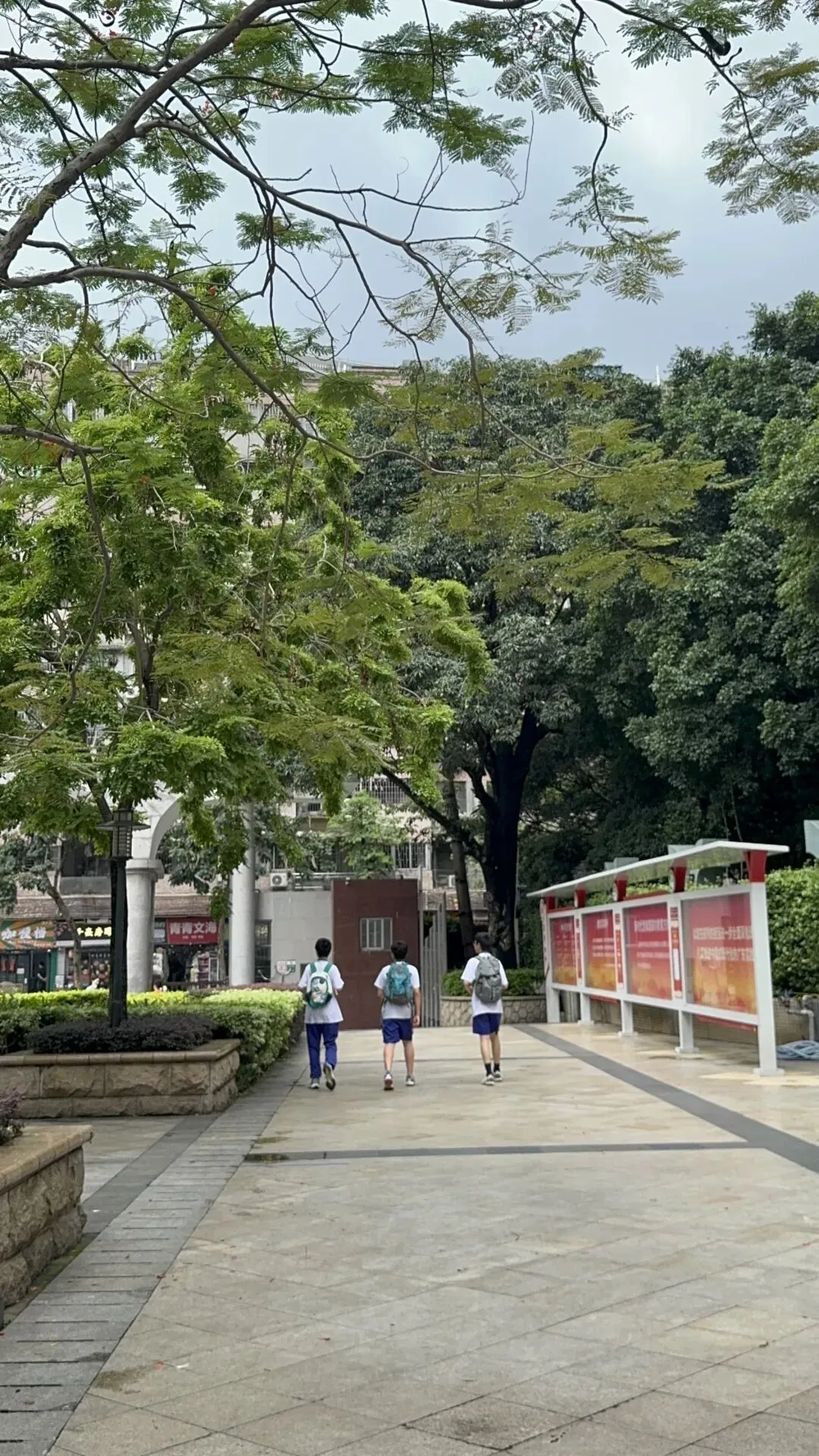 广州中考|荔湾学校的痛,为什么你们去花都从化,都不愿意留在荔湾读书?!-第5张图片-四季读书网 广州中考|荔湾学校的痛,为什么你们去花都从化,都不愿意留在荔湾读书?!-第5张图片-四季读书网