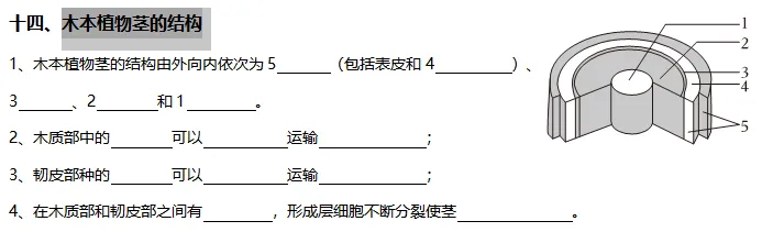 【中考生物】初中生物重要识图填空54个识图速记之十四:木本植物茎的结构-第2张图片-四季读书网