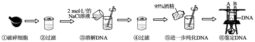 高二下期末-生物-基因工程真题汇编试卷考答案解析考点题型-第2张图片-四季读书网