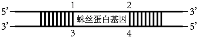 高二下期末-生物-基因工程真题汇编试卷考答案解析考点题型-第4张图片-四季读书网