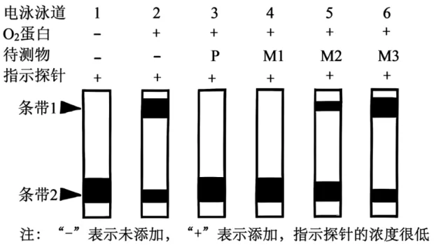高二下期末-生物-基因工程真题汇编试卷考答案解析考点题型-第8张图片-四季读书网