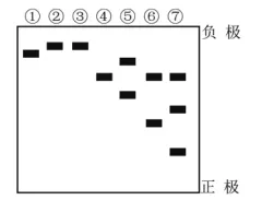 高二下期末-生物-基因工程真题汇编试卷考答案解析考点题型-第17张图片-四季读书网