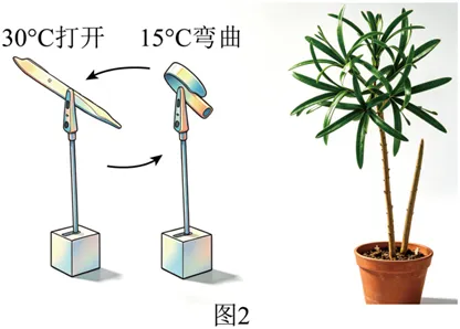 中考化学必过特训之实验专题3-第4张图片-四季读书网 中考化学必过特训之实验专题3-第4张图片-四季读书网
