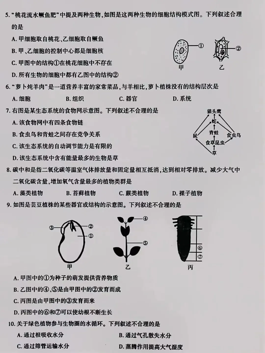 生物精选试题 中考冲刺-第3张图片-四季读书网