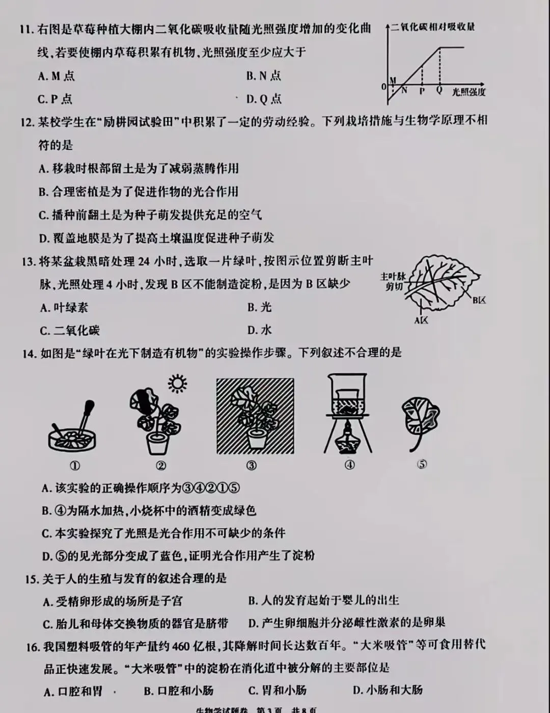 生物精选试题 中考冲刺-第4张图片-四季读书网