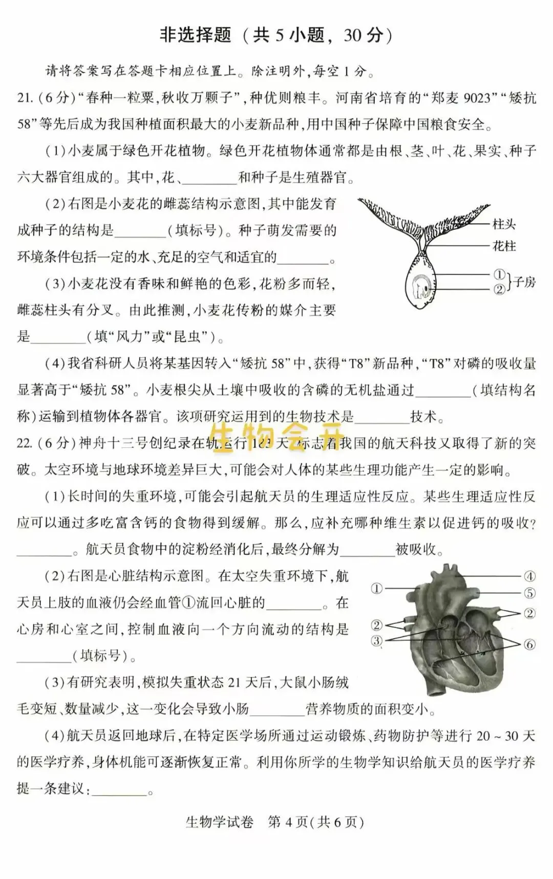 生物精选试题 中考冲刺-第13张图片-四季读书网