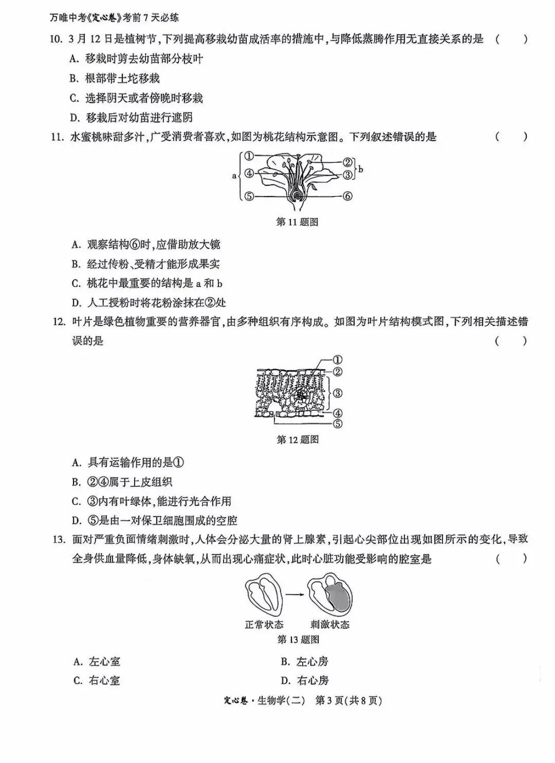 生物精选试题 中考冲刺-第18张图片-四季读书网