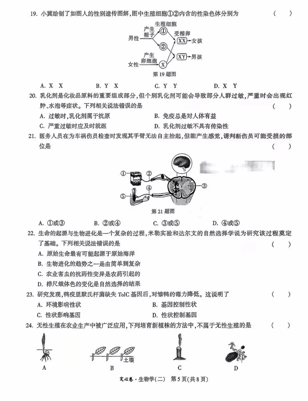 生物精选试题 中考冲刺-第20张图片-四季读书网