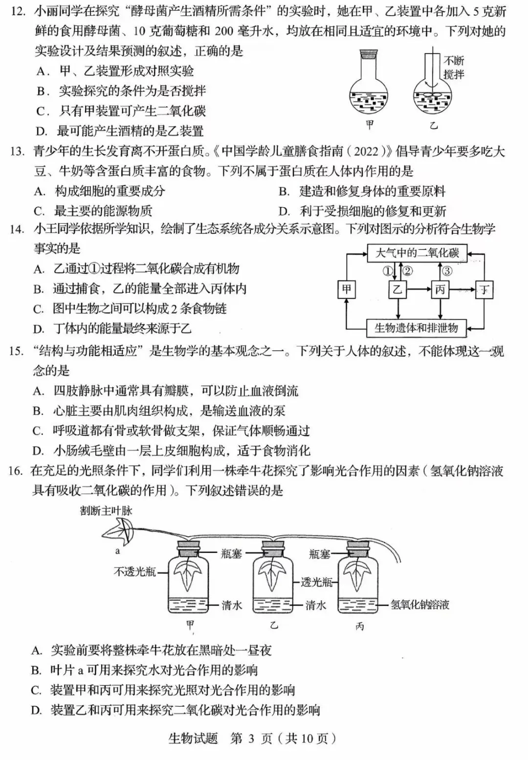 生物精选试题 中考冲刺-第26张图片-四季读书网