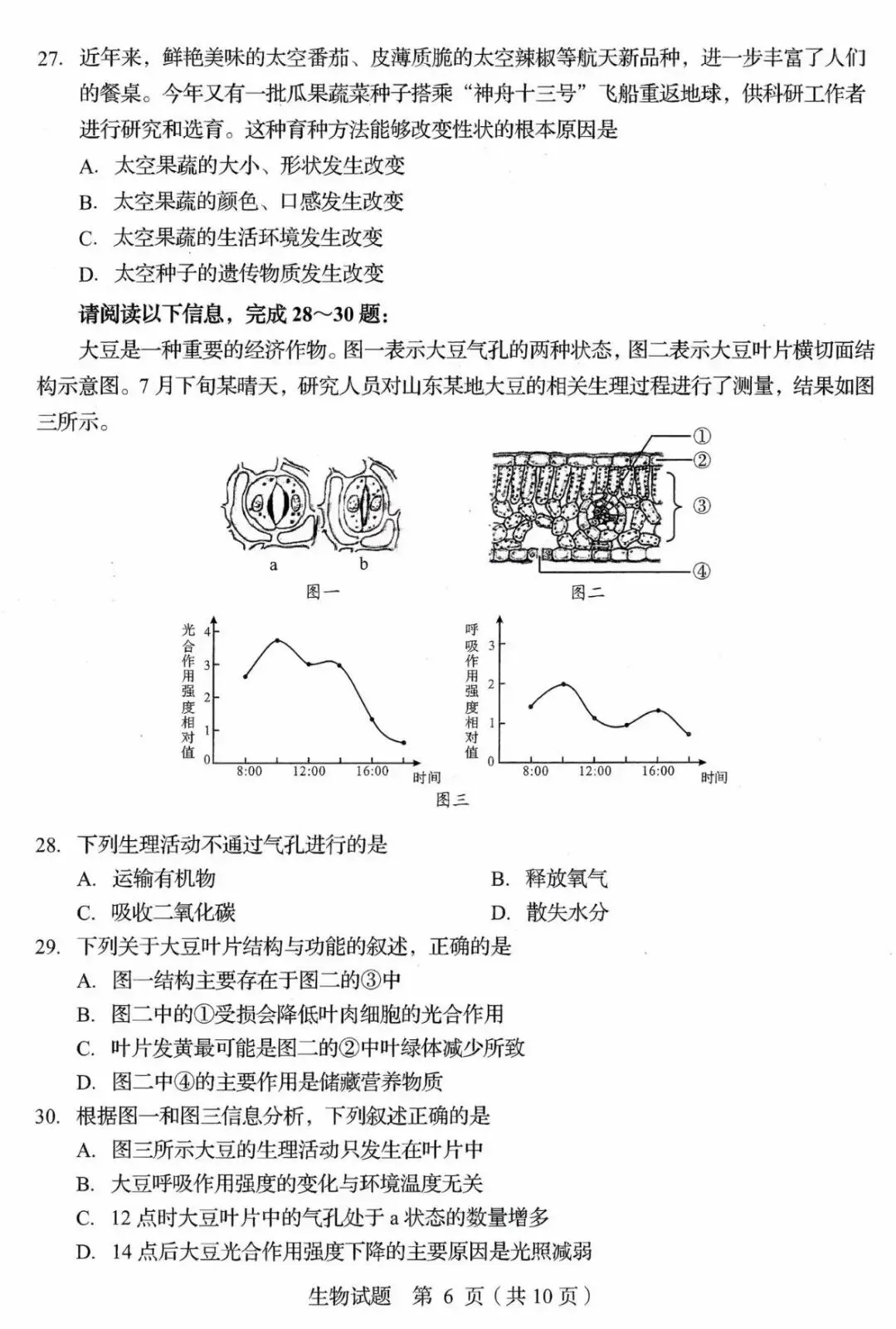 生物精选试题 中考冲刺-第29张图片-四季读书网