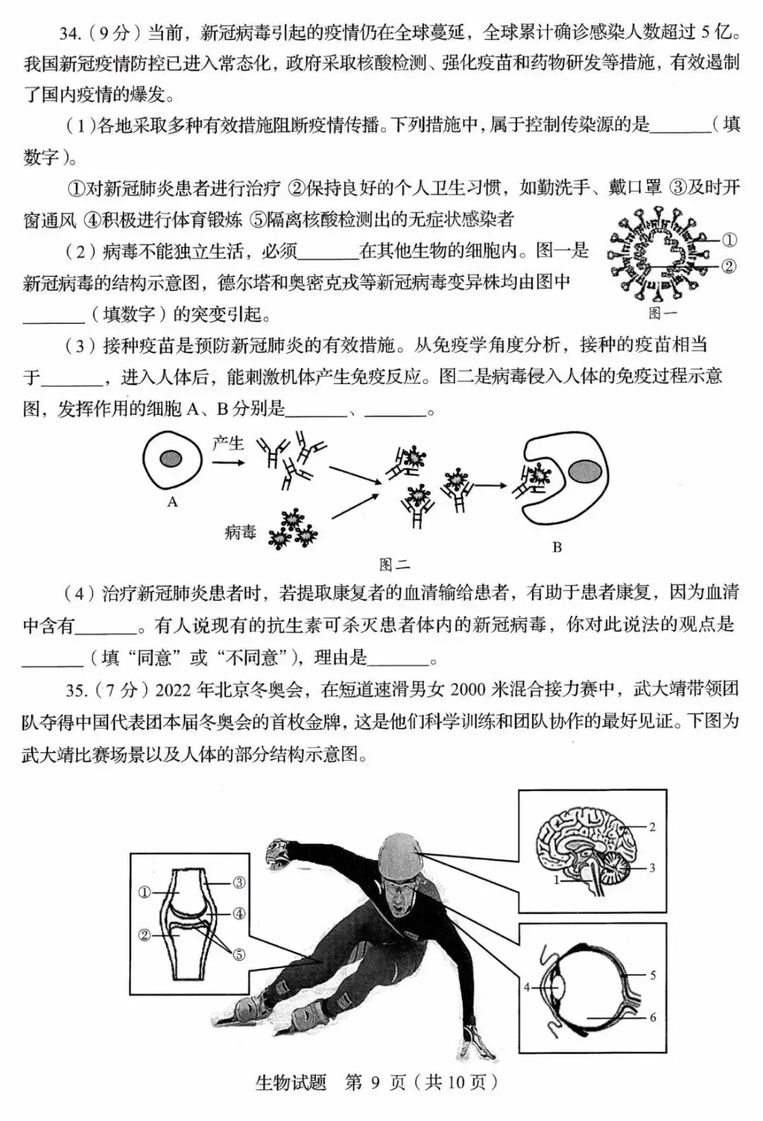 生物精选试题 中考冲刺-第32张图片-四季读书网