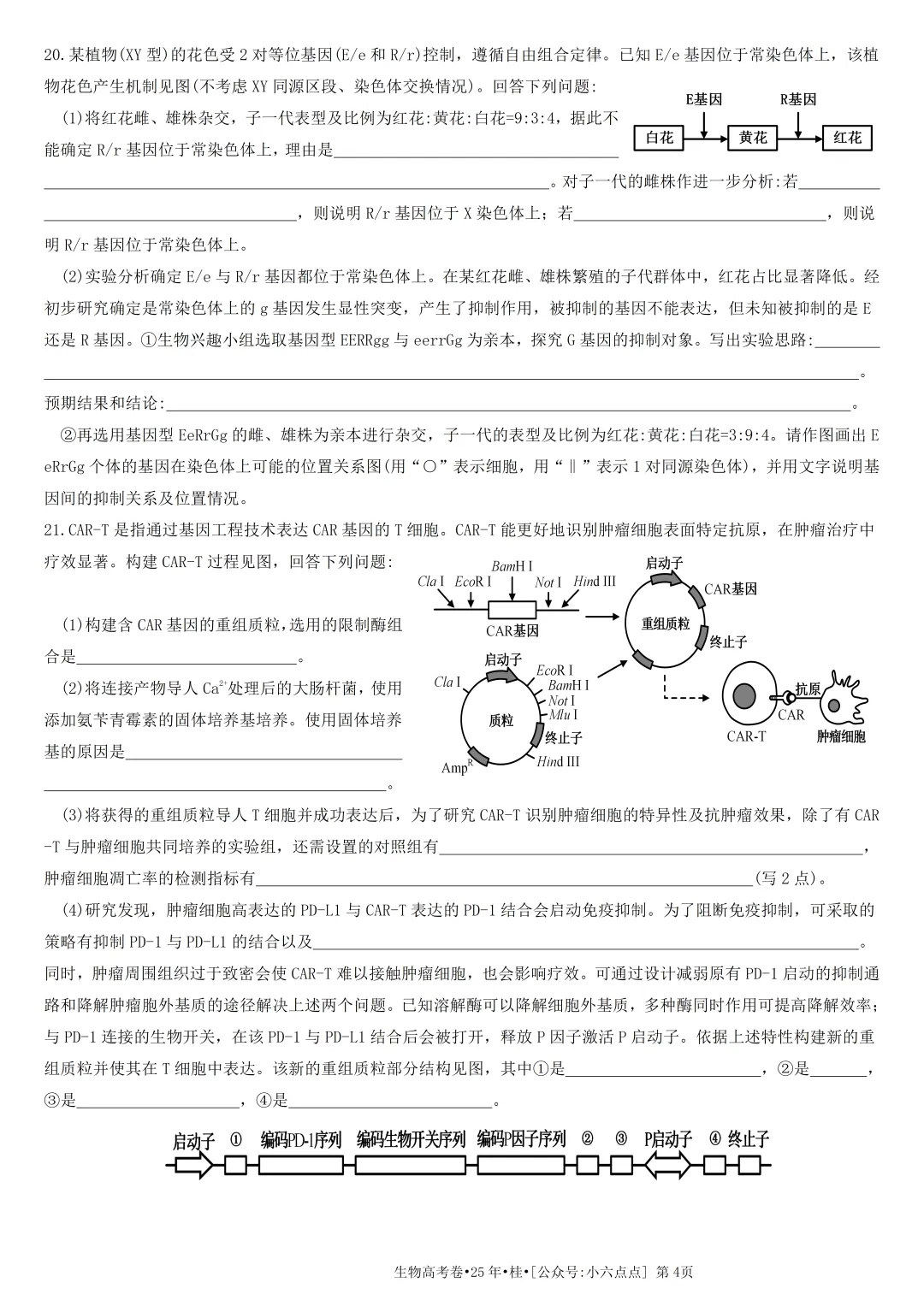 生物高考真题•2025•广西卷(+答案)-第4张图片-四季读书网