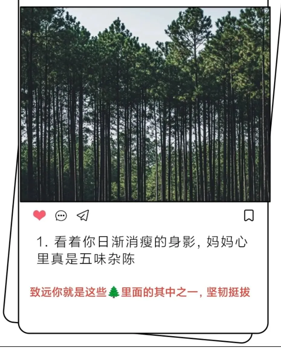 芳姐第252篇文章——中考孩子和家长的心声-别让“爱”变成孩子的负担-第1张图片-四季读书网