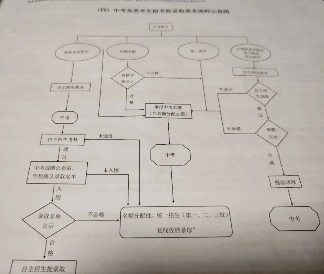 中考志愿落定,静待花开-第4张图片-四季读书网