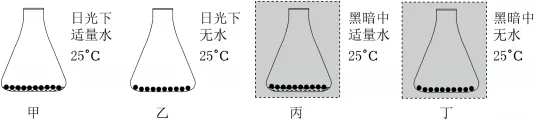 2026年中考生物押题卷-第4张图片-四季读书网