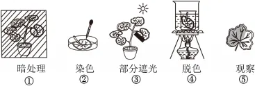 2026年中考生物押题卷-第5张图片-四季读书网