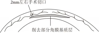 2026年中考生物押题卷-第8张图片-四季读书网
