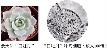 2026年中考生物押题卷-第9张图片-四季读书网