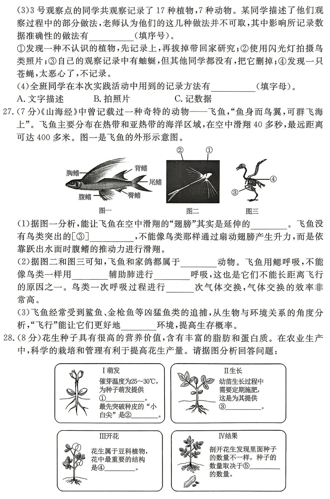 模拟试卷:2026年生物中考真题模拟卷|试题-第5张图片-四季读书网 模拟试卷:2026年生物中考真题模拟卷|试题-第5张图片-四季读书网