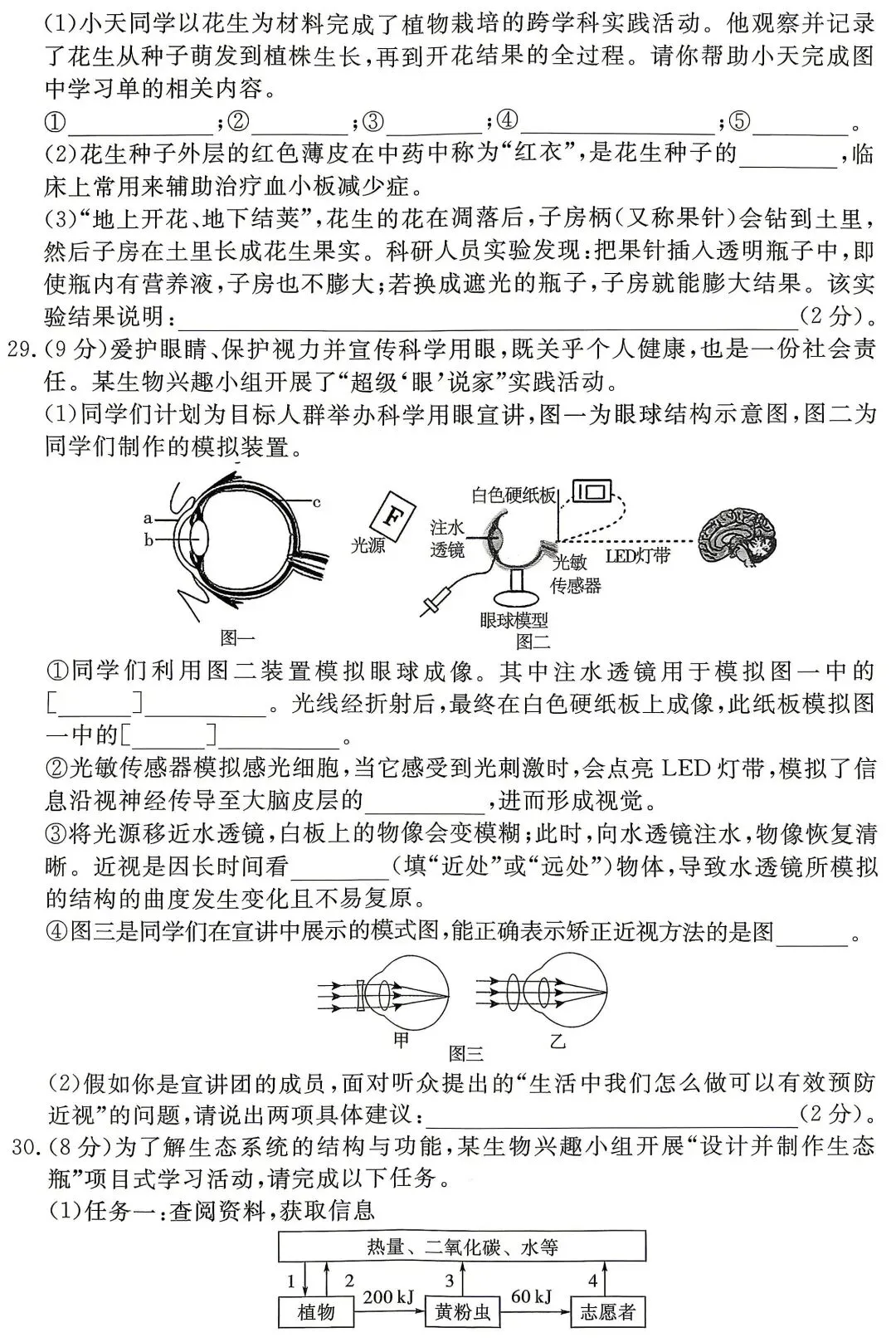 模拟试卷:2026年生物中考真题模拟卷|试题-第6张图片-四季读书网 模拟试卷:2026年生物中考真题模拟卷|试题-第6张图片-四季读书网