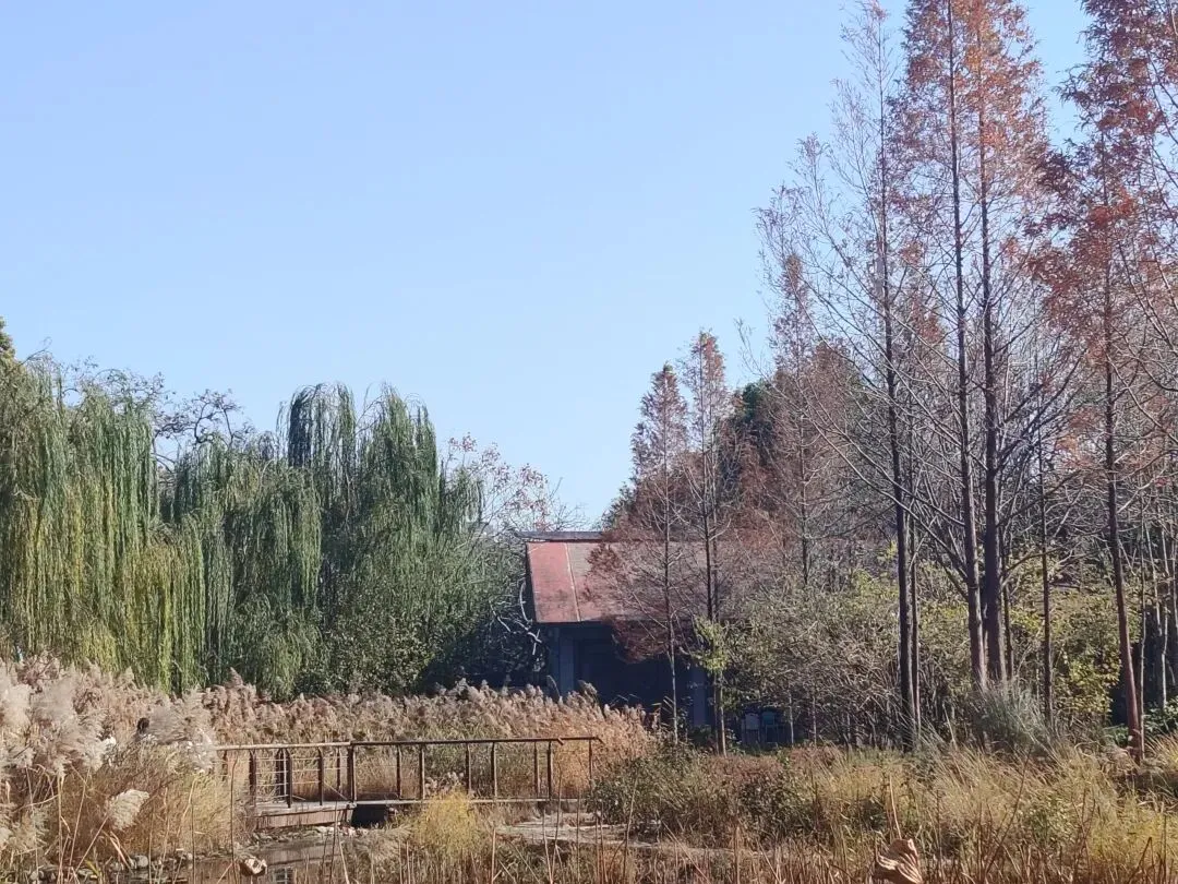 中考范文——分论点式结构-第1张图片-四季读书网 中考范文——分论点式结构-第1张图片-四季读书网