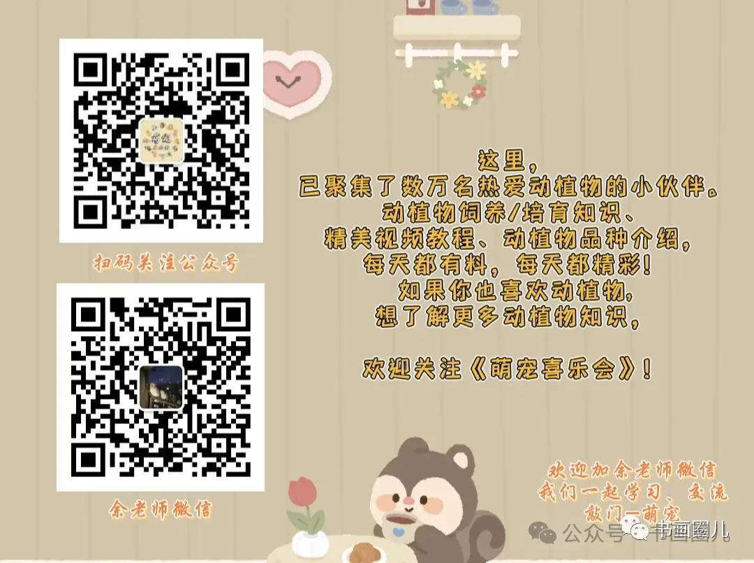 赏析 | 百年殿试卷:读懂蔡元培的才学与远见-第9张图片-四季读书网 赏析 | 百年殿试卷:读懂蔡元培的才学与远见-第9张图片-四季读书网