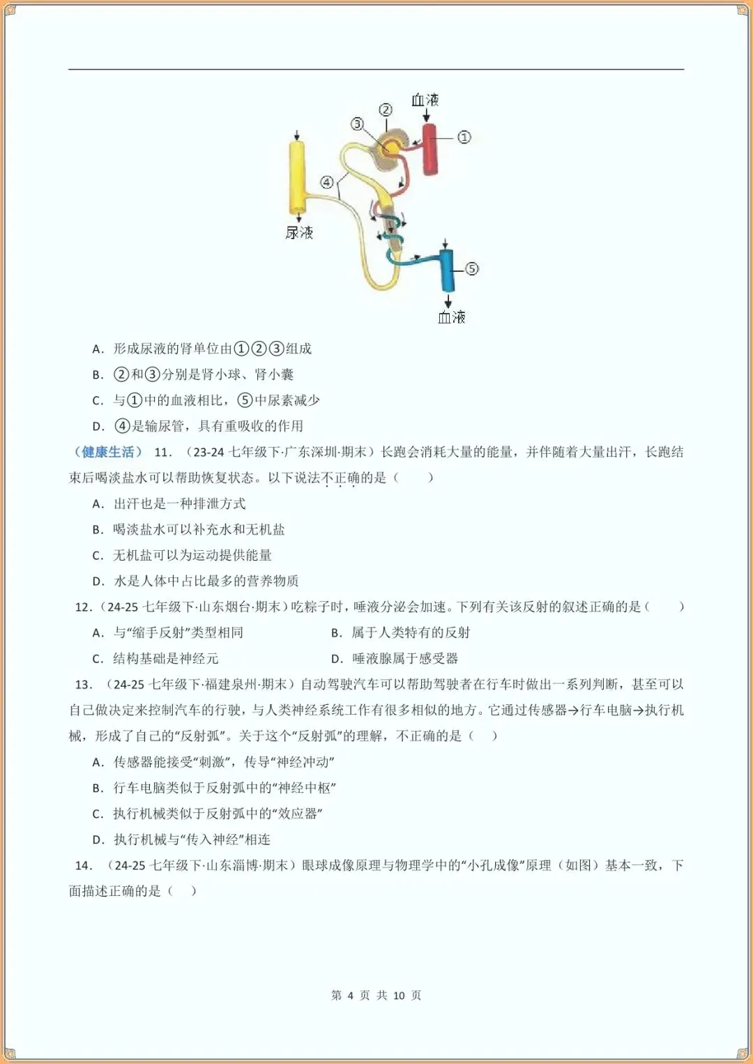 【七下生物期末试卷】七年级生物下学期期末真题重组卷(北师大版新教材)(含答案可下载打印)-第5张图片-四季读书网