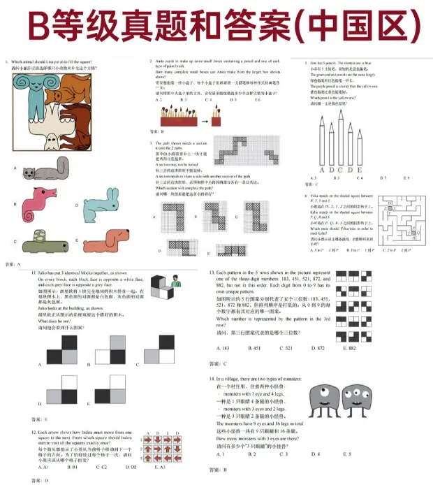速来!袋鼠竞赛真题带答案2013-2026年电子版分享啦!-第3张图片-四季读书网
