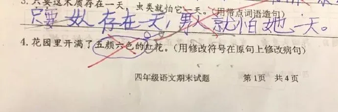 小学生的试卷-第17张图片-四季读书网 小学生的试卷-第17张图片-四季读书网