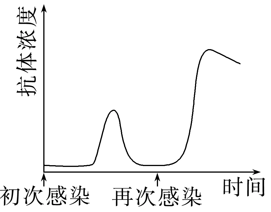 动物生理学专题感悟真题·长句表述(答案在后面)-第2张图片-四季读书网