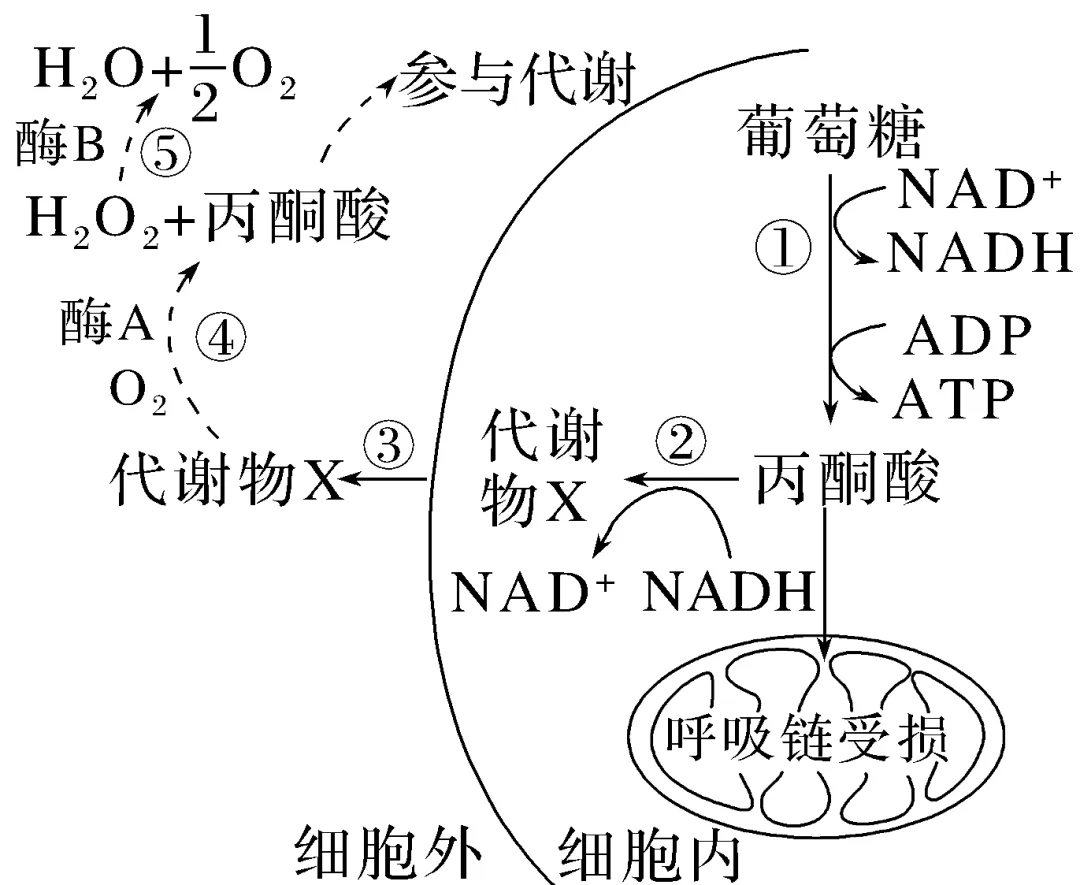 动物生理学专题感悟真题·长句表述(答案在后面)-第3张图片-四季读书网