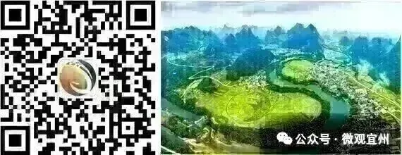 关于2026年宜州区高考、中考志愿服务活动的倡议书-第3张图片-四季读书网