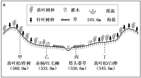 【高考真题】2022年高考地理山东卷(附官方答案)-第4张图片-四季读书网 【高考真题】2022年高考地理山东卷(附官方答案)-第4张图片-四季读书网