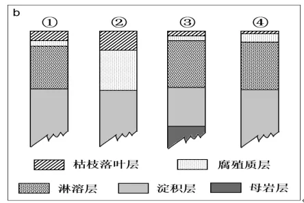 【高考真题】2022年高考地理山东卷(附官方答案)-第5张图片-四季读书网 【高考真题】2022年高考地理山东卷(附官方答案)-第5张图片-四季读书网