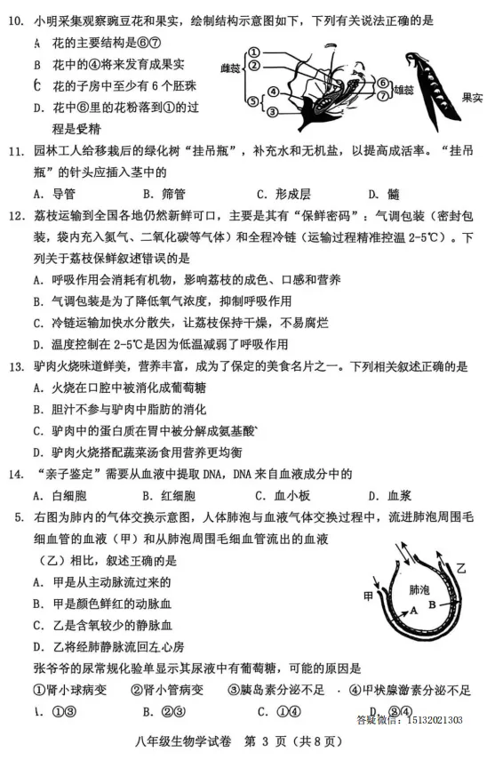 2026.5保定市竞秀区中考二模生物试卷含答案-第3张图片-四季读书网