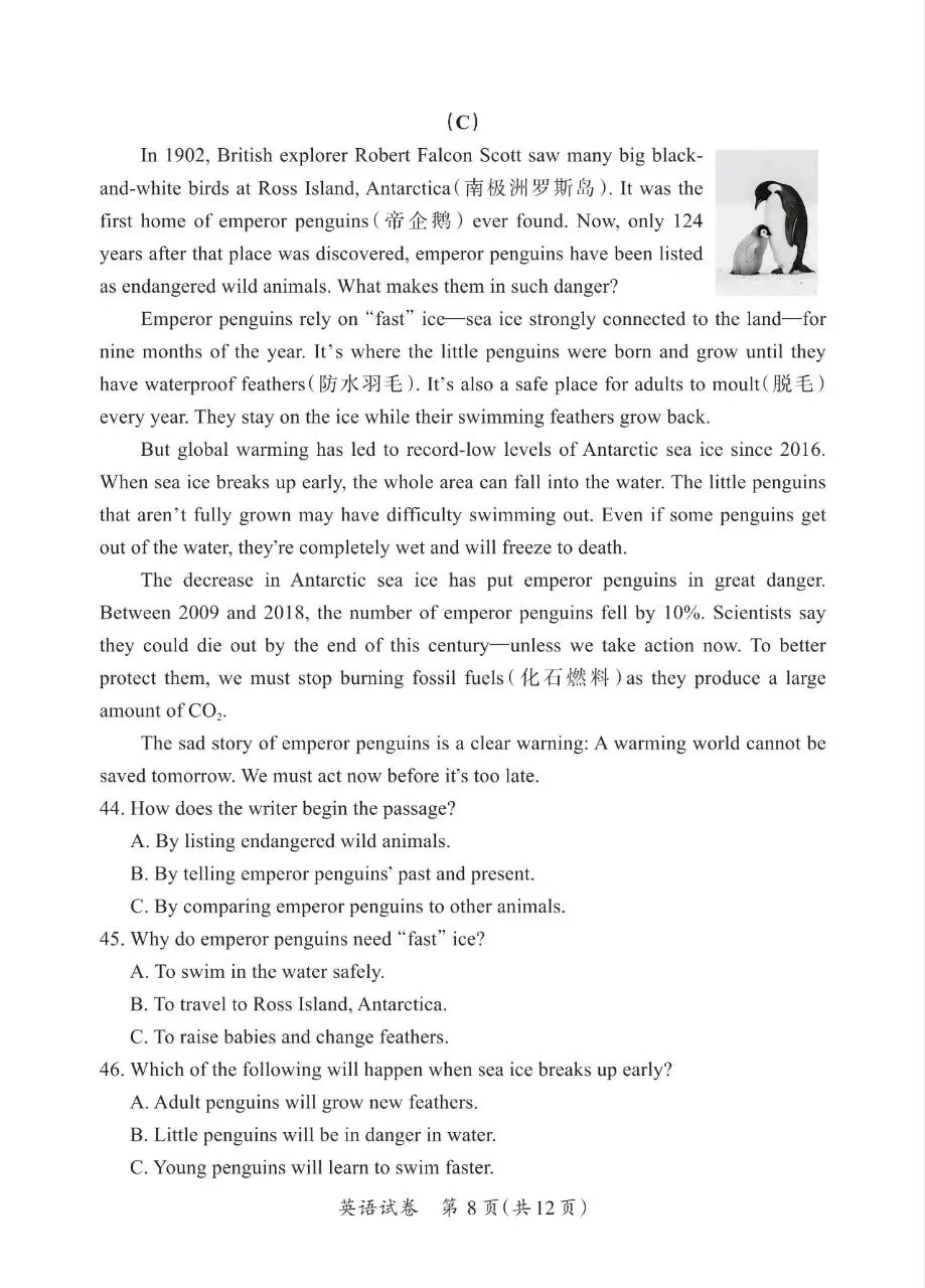 【2026模拟题】 2026年山西中考模拟试题(二)英语试题+答案-第8张图片-四季读书网