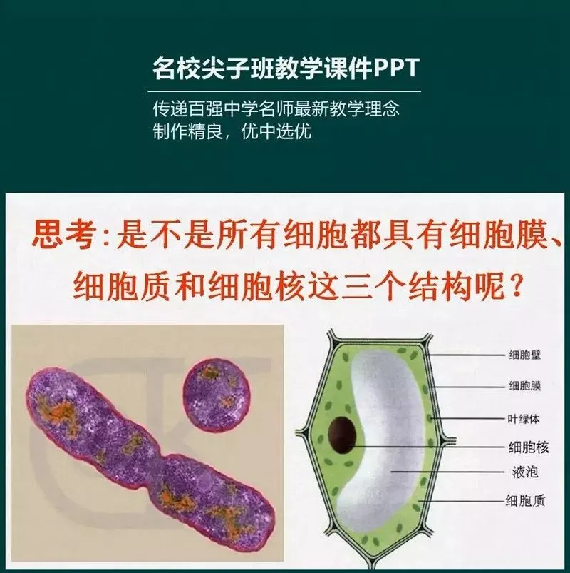 中考数学复习,解直角三角形的实际应用,关键在于构造直角三角形-第17张图片-四季读书网 中考数学复习,解直角三角形的实际应用,关键在于构造直角三角形-第17张图片-四季读书网