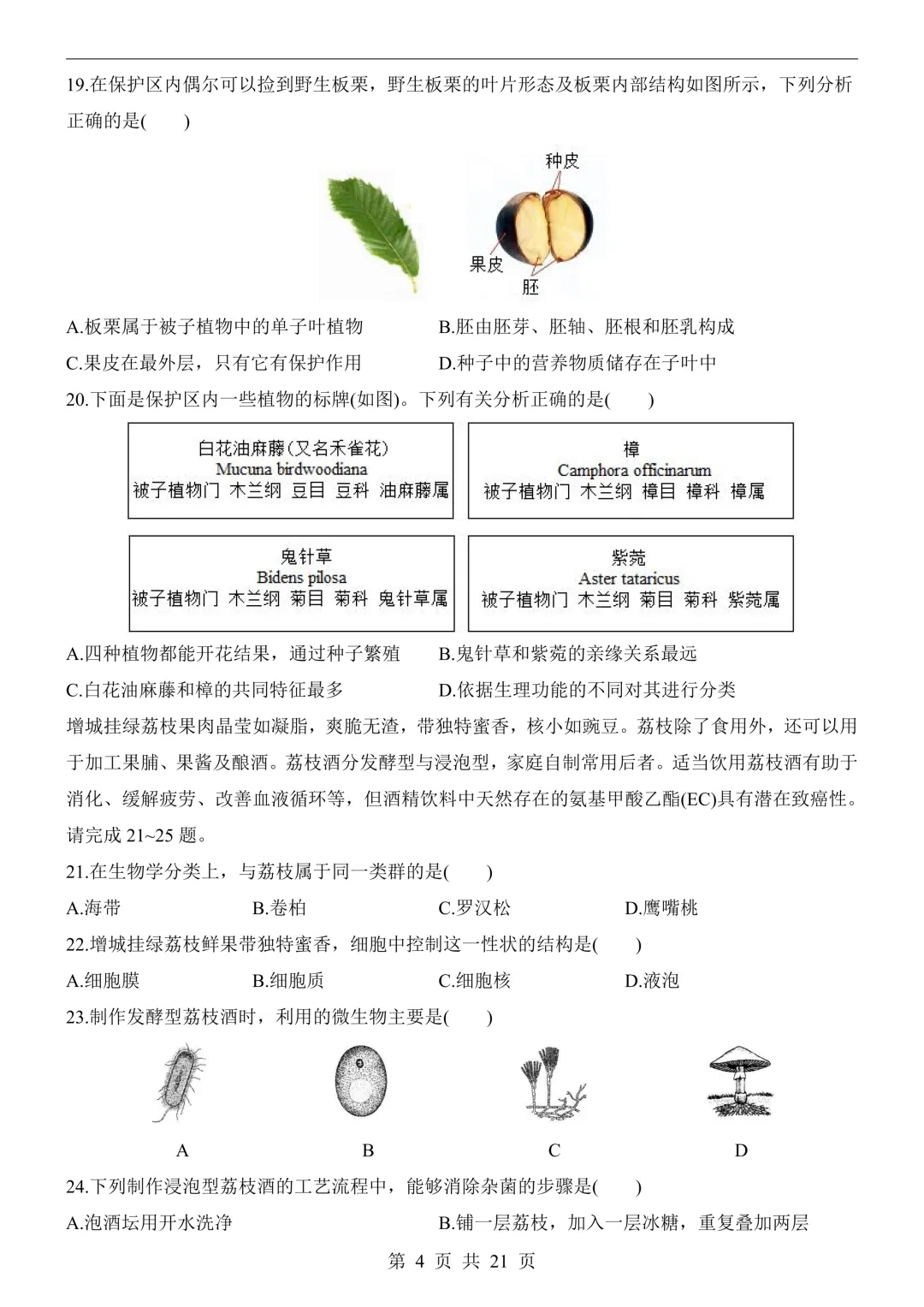 26年广州中考生物模拟冲刺卷(附答案详解+答题卡)-第4张图片-四季读书网