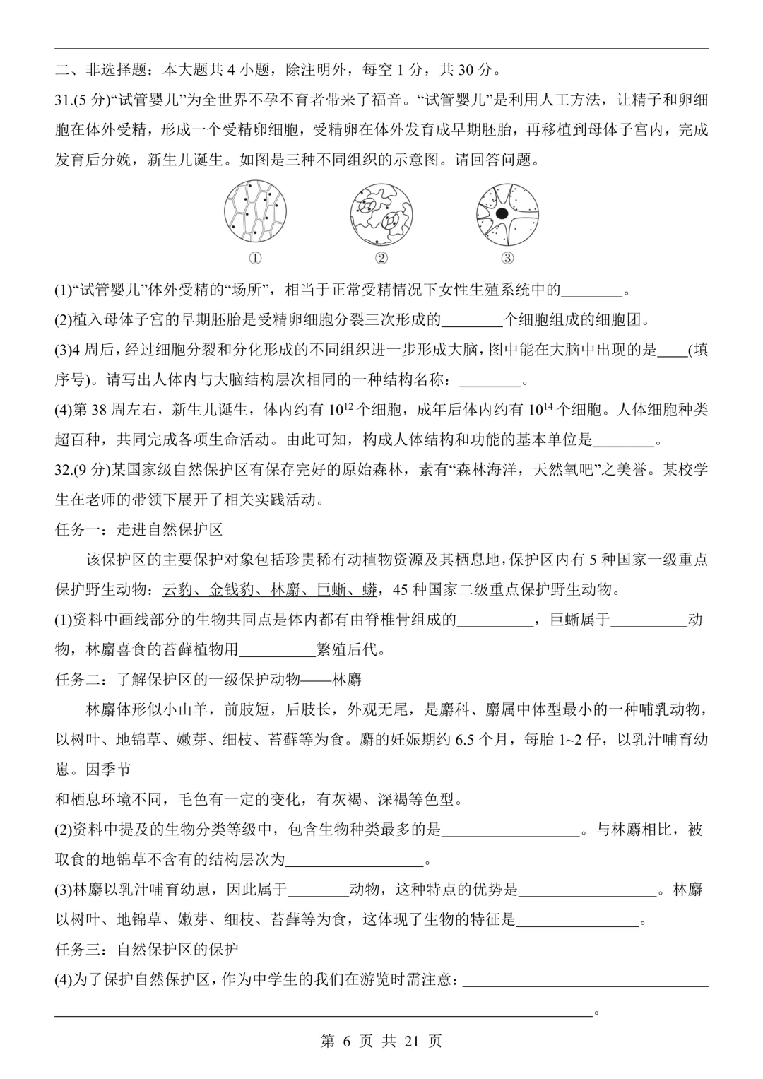 26年广州中考生物模拟冲刺卷(附答案详解+答题卡)-第6张图片-四季读书网