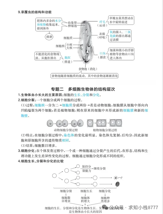 西藏2026年【生物】小中考冲刺生物重点知识||2026生地会考-第4张图片-四季读书网