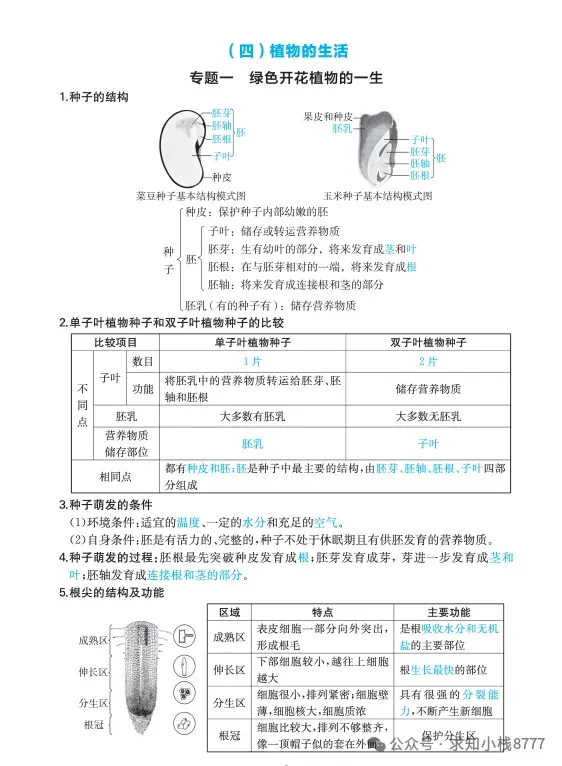 西藏2026年【生物】小中考冲刺生物重点知识||2026生地会考-第10张图片-四季读书网