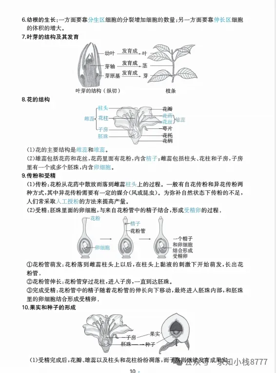 西藏2026年【生物】小中考冲刺生物重点知识||2026生地会考-第11张图片-四季读书网